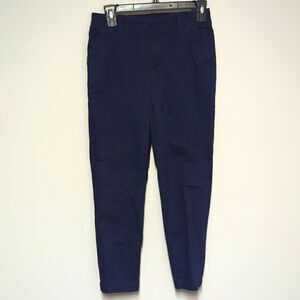 Banana Republic Factory Blue Chino